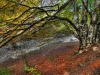 Cecchelli Franco - AUTUNNO IN ABRUZZO 1 -