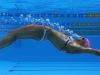 Giuntoli Andrea - NUOTO #6 -